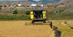 Çeltik üreticilerinin beklediği alım fiyatı açıklandı