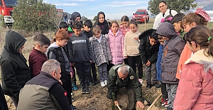 Kargı’da yüzlerce fidan toprakla buluşturuldu