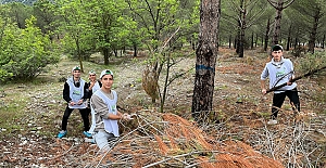 Kargı’da ''Orman Benim'' etkinliği