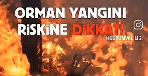 Ormanlık alanlara giriş 30 Ekim’e kadar yasak