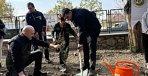 Kargı’da Milli Ağaçlandırma Günü'nde fidanlar toprakla buluştu