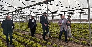 Tarımsal üretimi geliştirmek için çalışmalar sürüyor
