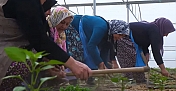 Yerel kalkınmaya ‘kadın’ dokunuşu 