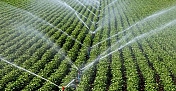 Kargı Cihadiye Köyüne Sulama Tesisi yapılacak