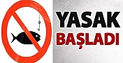 Kargı’da bazı balık türleri için av yasağı başladı